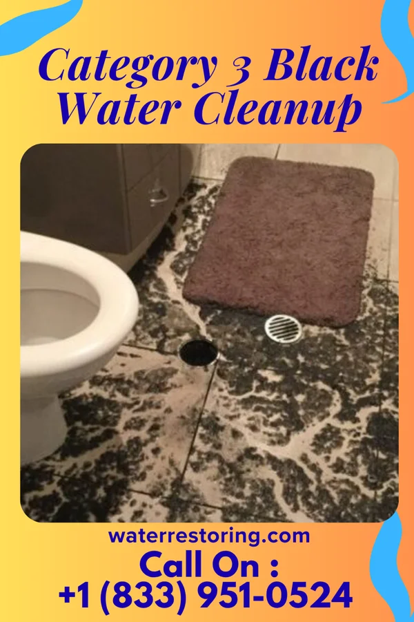 Category 3 Black Water Cleanup in Seaside Park, NJ