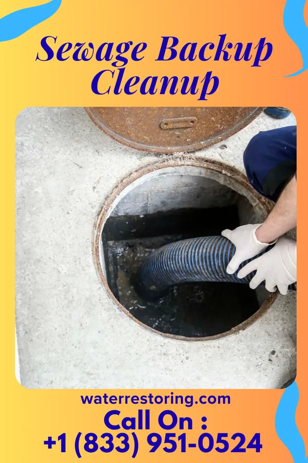 Sewage Backup Cleanup in Seaside Park, NJ
