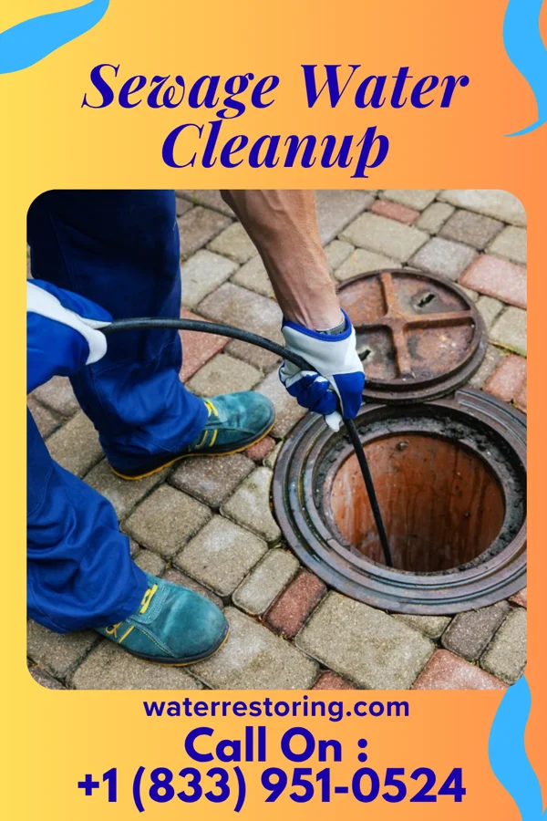Sewage Water Cleanup in Seaside Park, NJ